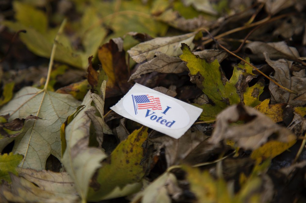 I voted sticker in fall leaves
