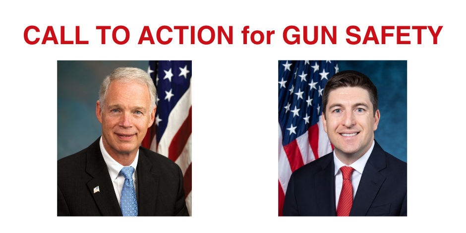 Call to Action for Gun Safety