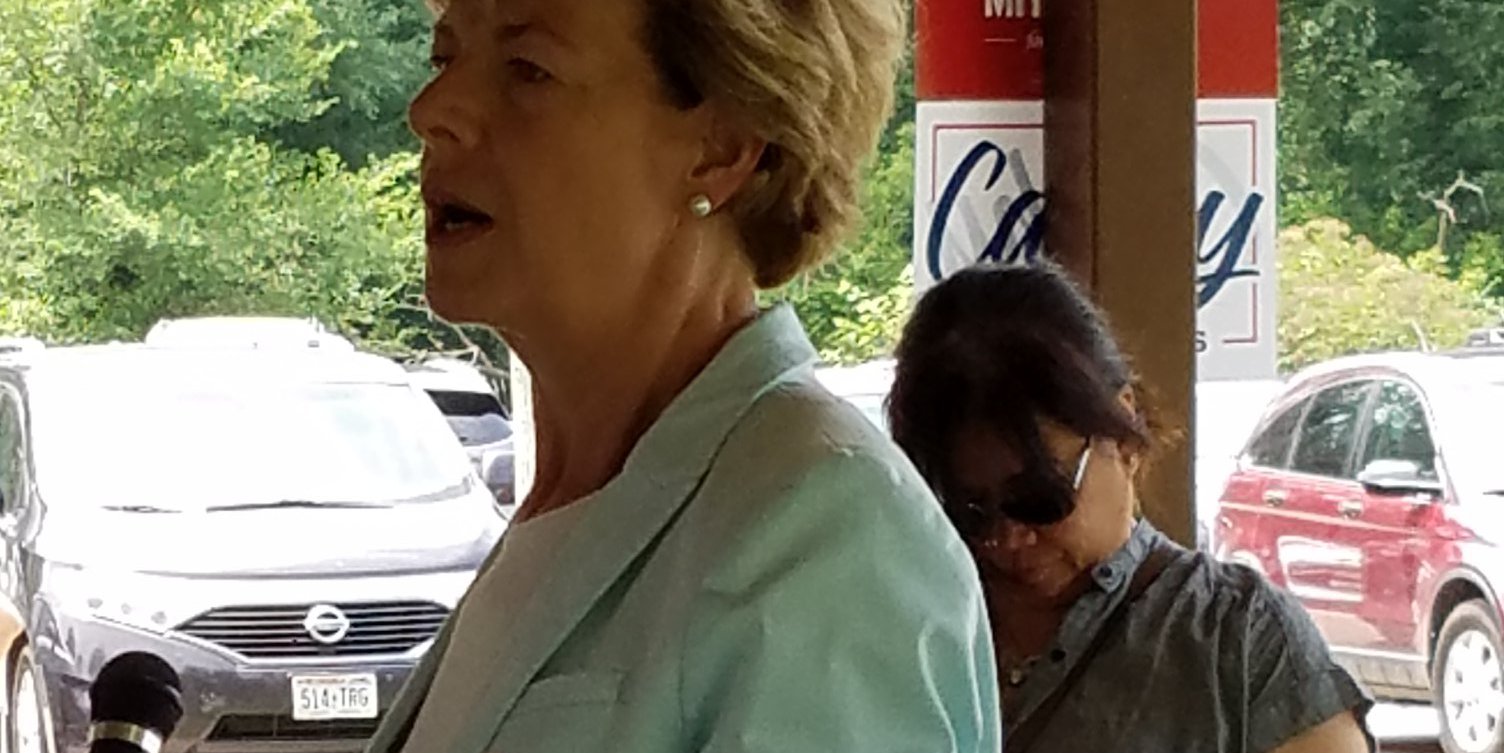 Tammy Baldwin speaking at KCDP annual picnic