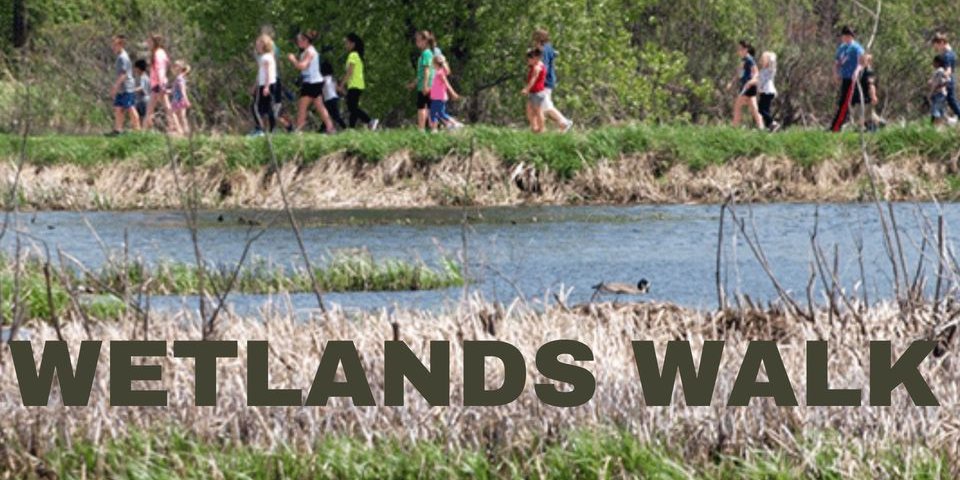Join KCDP's Wetlands Walk!